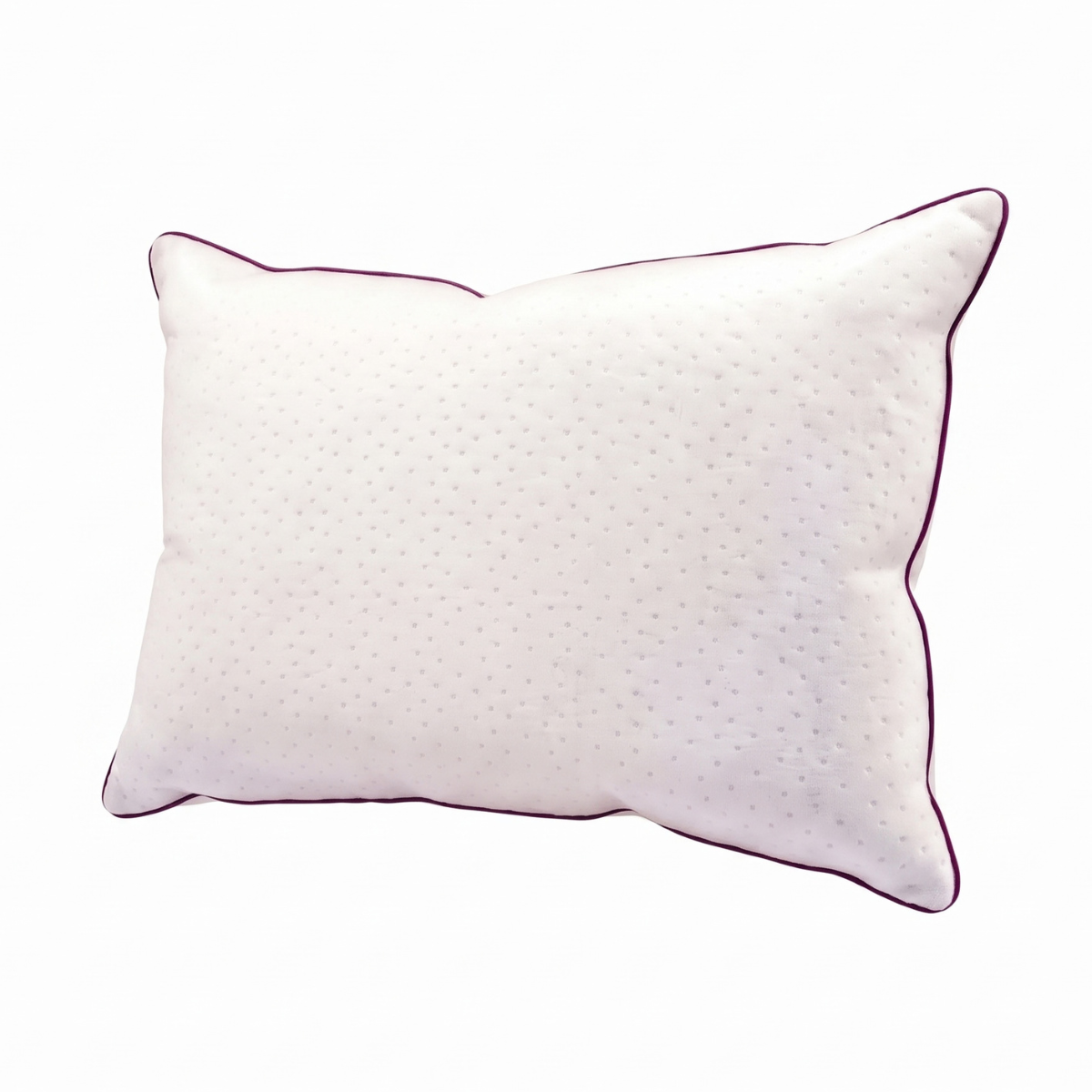 Oreiller Blanc Plume de Canard 100% Housse Bonne fête - Collection Blanc