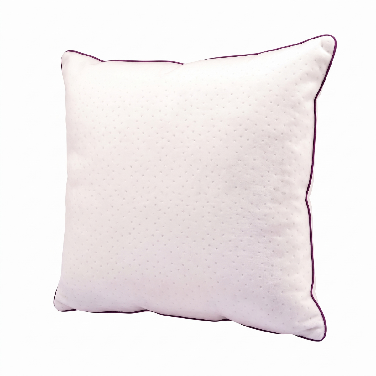 Oreiller Blanc Plume de Canard 100% Housse Bonne fête - Collection Blanc