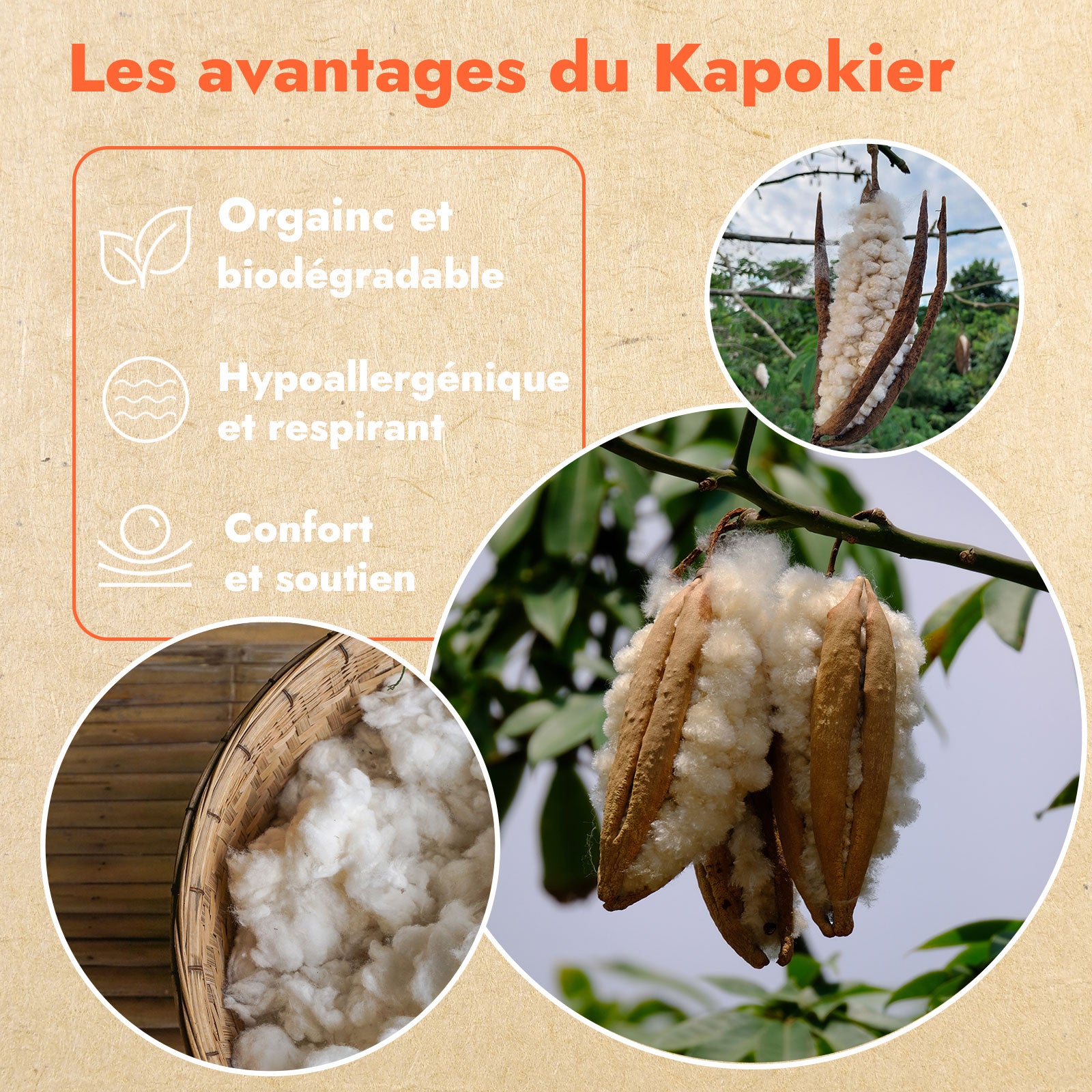 Oreiller kapok 100% naturel, ergonomique, organique - Collection Kapok