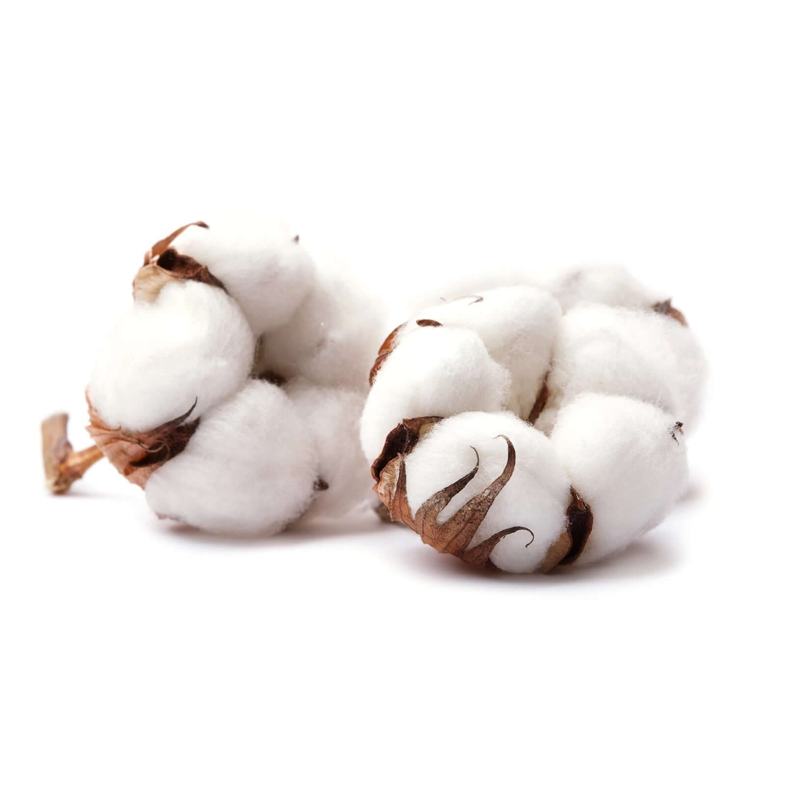 Surmatelas grand confort de couchage - Collection Duo Tech