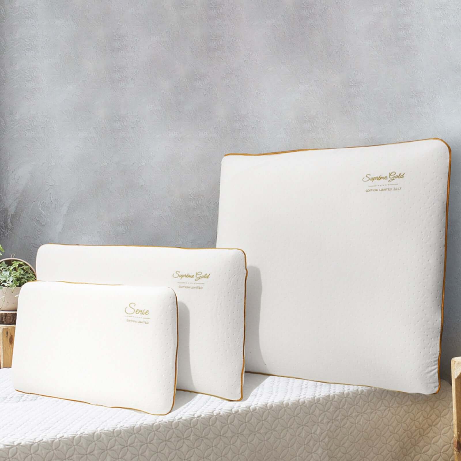 Sammlerkissen: Memory Foam, abnehmbarer Bezug