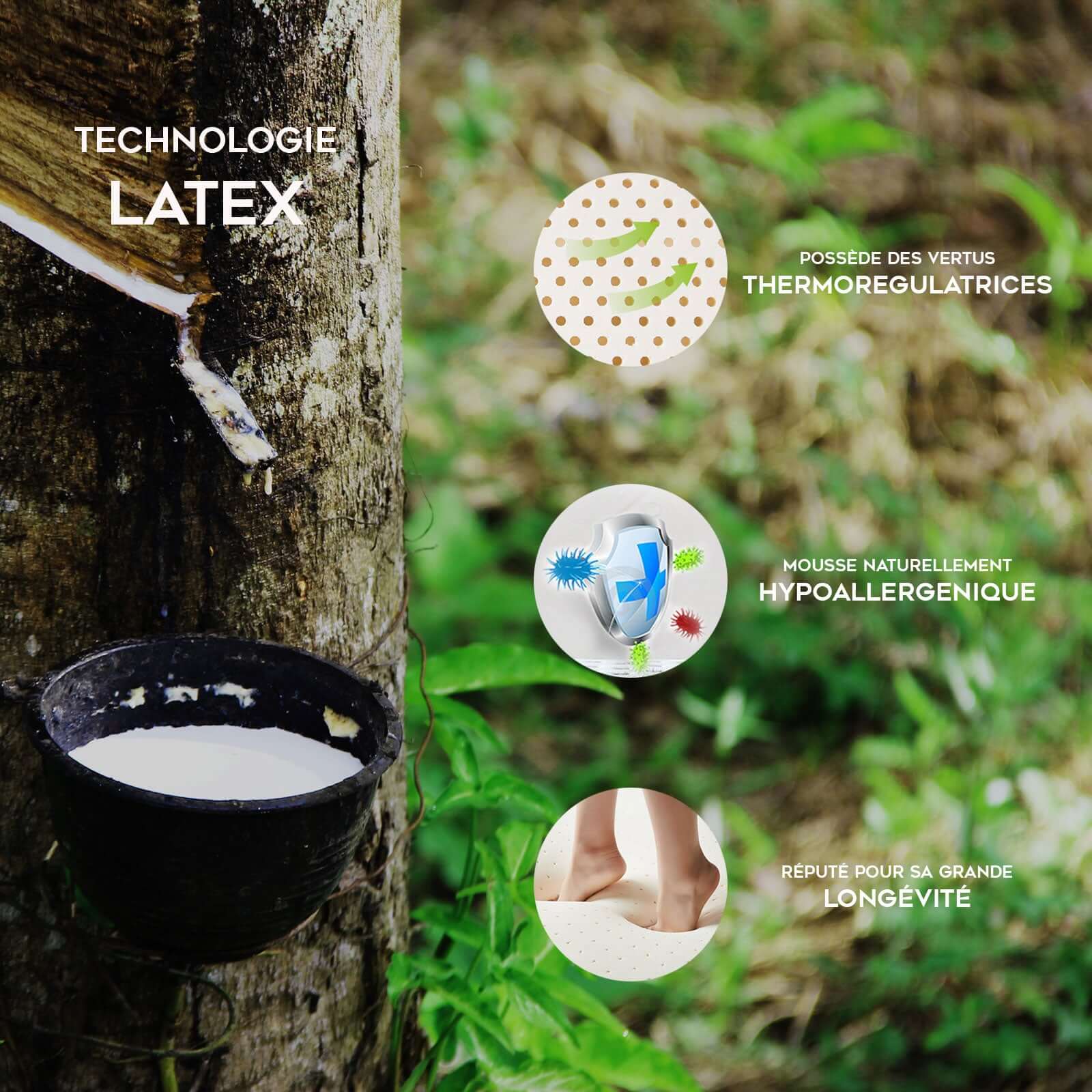 Perle Matratze: Latex, Federn und Memory Foam