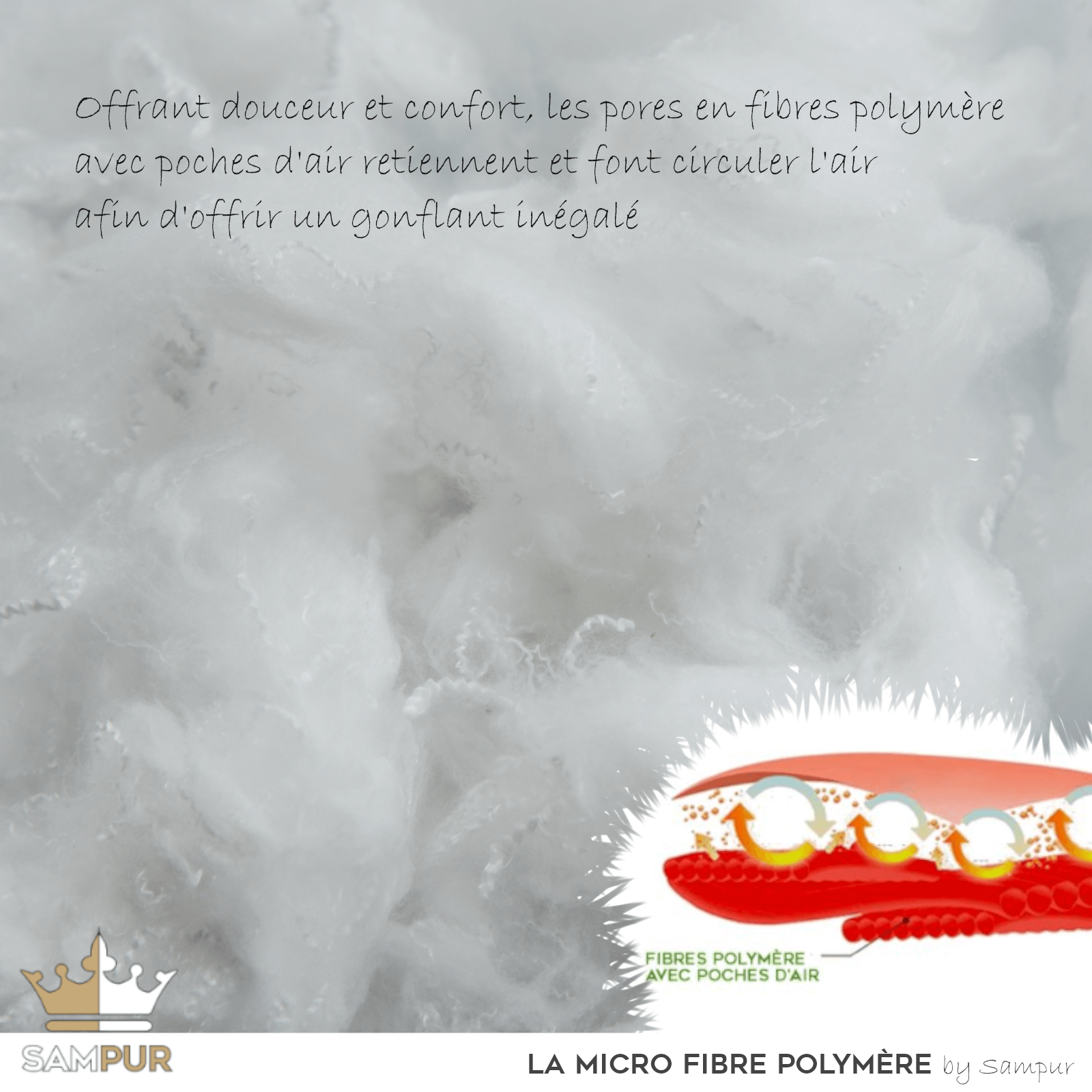 Oreiller papillon ergonomique, microfibre, déhoussable - Collection Papillon