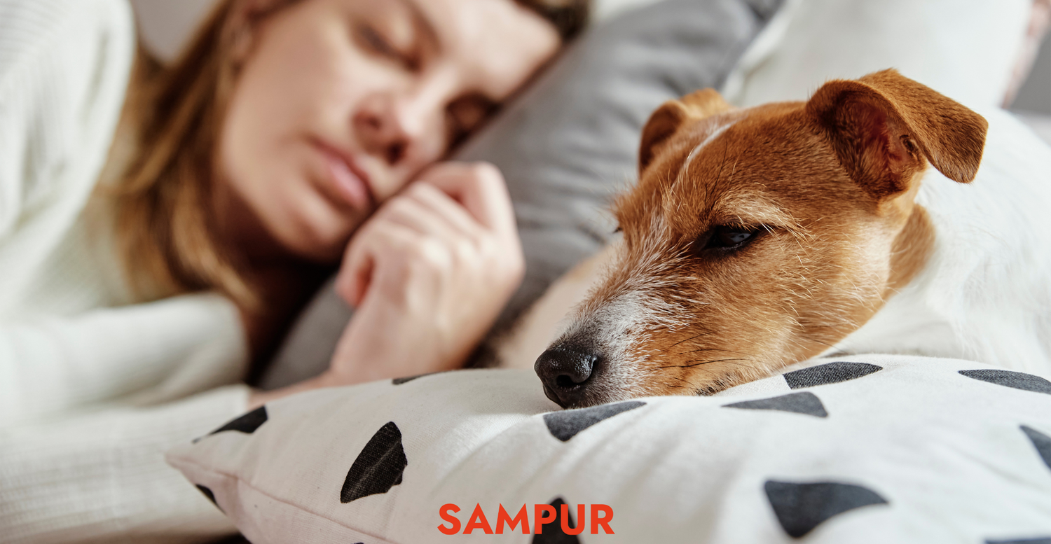 Top 5 : Les conseils pour bien dormir