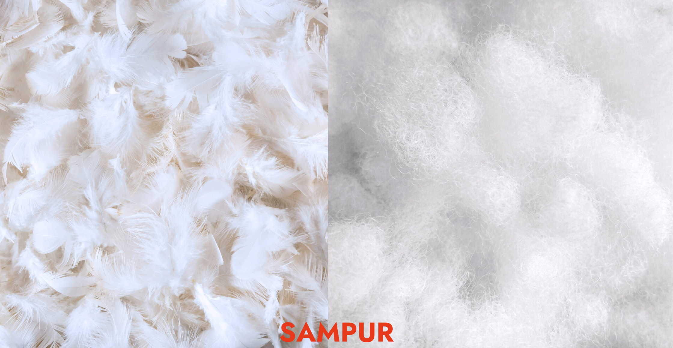 surmatelas plumes ou microfibre