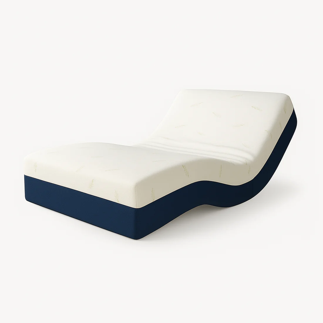 Lit électrique avec TV offerte et deux matelas relaxation