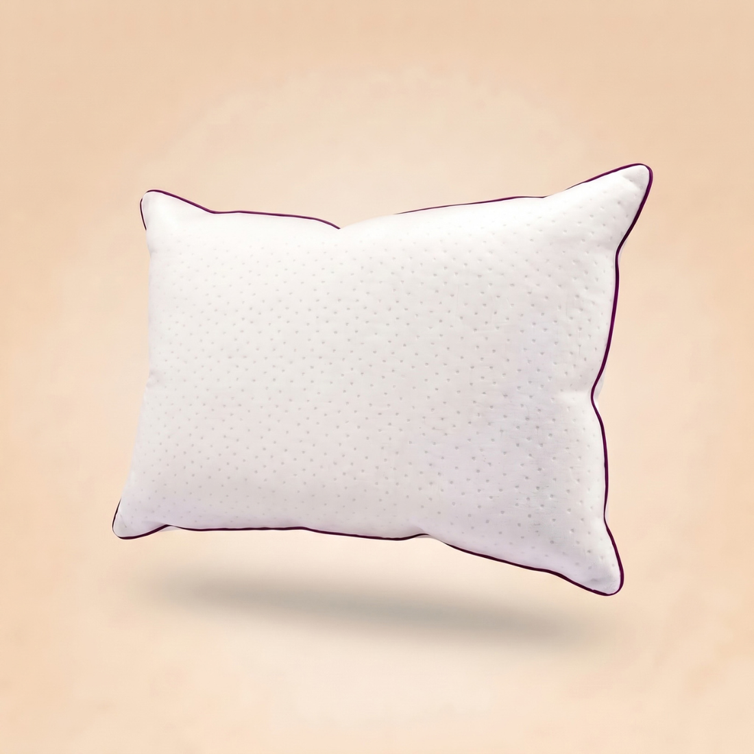 Oreiller Blanc Plume de Canard 100% Housse Bonne fête - Collection Blanc