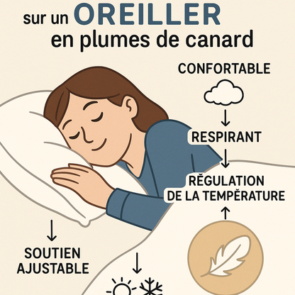 Oreiller plume de canard, coutil coton, ergonomique - Collection Luxe